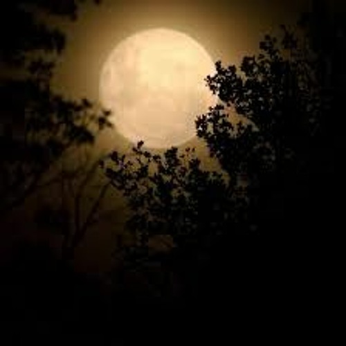 Stream episode Shooting the Moon by Henry Lawson by Anton Jarvis