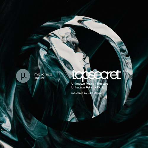 Stream Unknown Artist - Do It (Snippet) [TST021] by Micronica