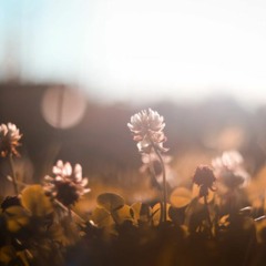 Though the World May Promise Me More (piano instrumental)