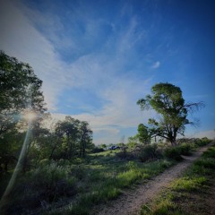 Precious Gift (2018 Freestyle)