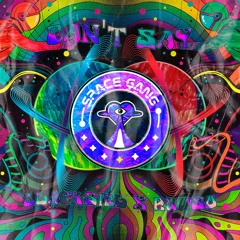 CAN'T SAY (Space RMX)
