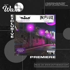 OTW Premiere: Panix - One Moment (Tik&Borrow Remix) [In:flux Audio]