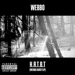 WEBBO - H.R.T.B.T (Webbo Hard Flip)
