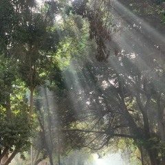 وَأَلْقَيْتُ عَلَيْكَ مَحَبَّةً مِنِّي | ماتيسر من سورة طه | الشيخ محمد أيوب 🧡✨