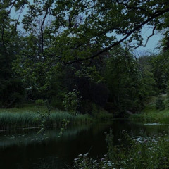 Wiktor Stribog - Wichura