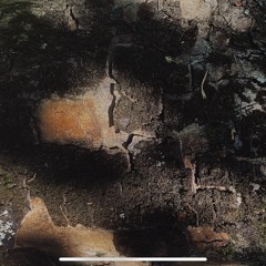 SYMBIOS | Maastricht 17.05.25 | w/ Ellen André