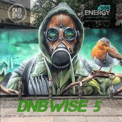 Nitr8 - DnBwise 5