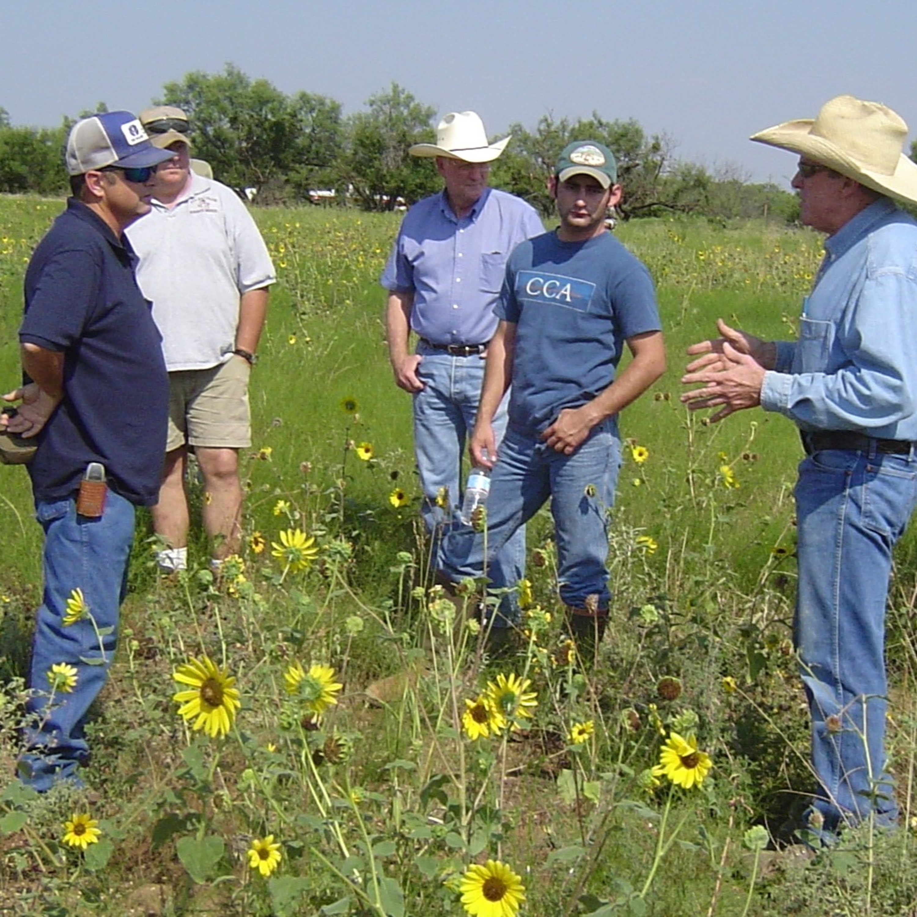 Dr. Dale on Quail