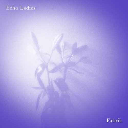 Stream Echo Ladies - Fabrik by Rama Lama Records | Listen online for free on SoundCloud