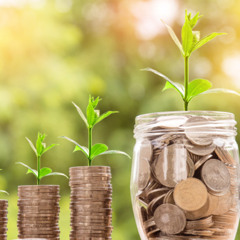 Can Environmental Audits Help In Ensuring Better Corporate Sustainability?