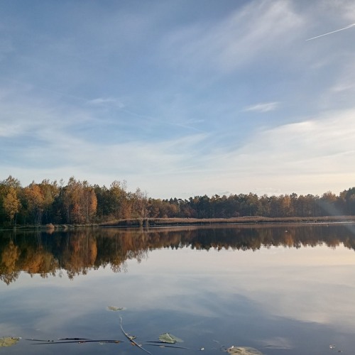 Orkhan Zeynalli ft. Röya Miri - Bir Də Gəlsəm