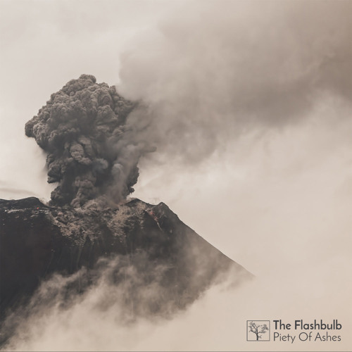 The Flashbulb - Piety of Ashes