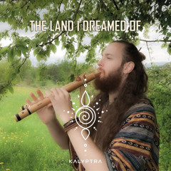 The land I dreamed of
