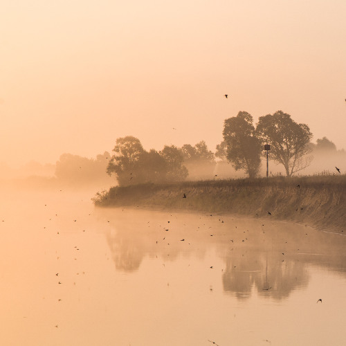 Ashot Danielyan - A Free Way