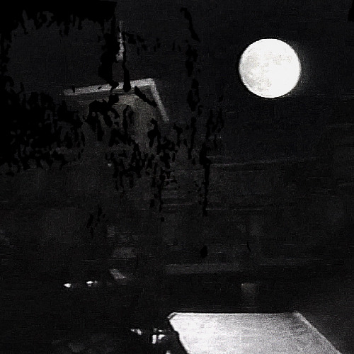 SOURCE 001: IMMOLATION