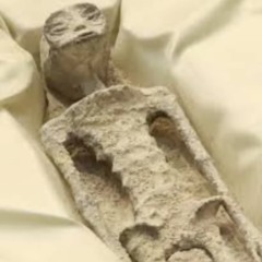 THug IT oUT PROD k'808