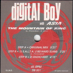 Digital Boy - Mountain Of King