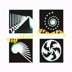 digital groovez