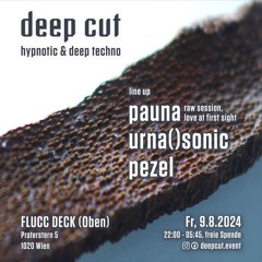 pezel - deep cut #3 | @ Flucc Deck Vienna | 9.8.24
