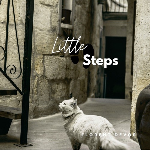 Little Steps