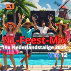 19x Nederlandstalige Hits (Baila de Gasolina, Blikkendag,) In De Mix 2025 #12