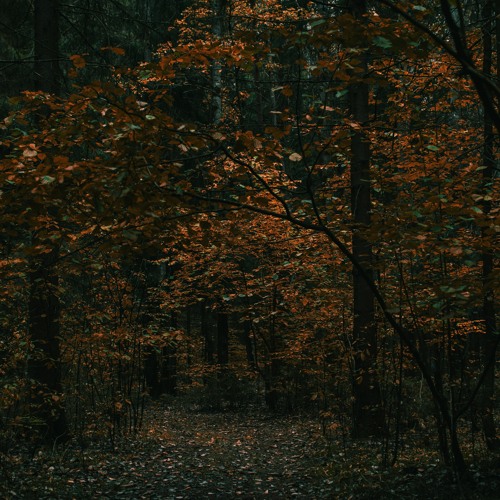 Dub Techno Session | 031