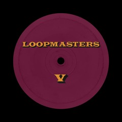 TheLoopmasters - Illusions