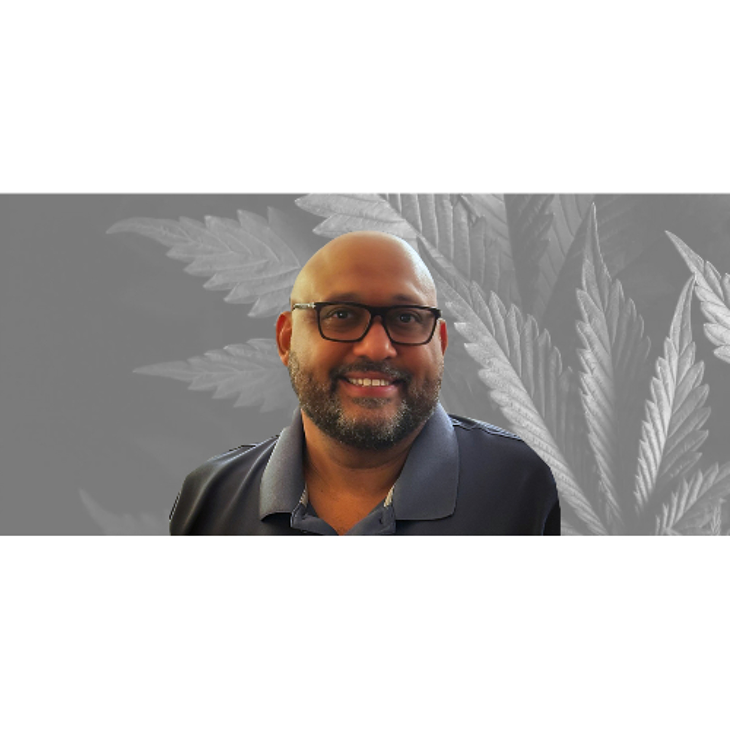 Damien Cornwell: Leading Through Chaos in New York’s Cannabis Market