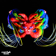Narayan (Extended Mix)