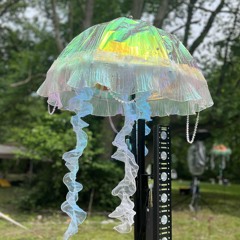 Opening Disco & House Set @ Showcation Festival - 5/17/25