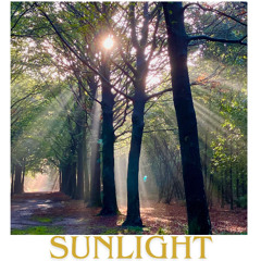 Sunlight (composer/performer Ad van Nederpelt
