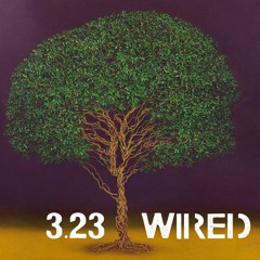 3.23 - Wired