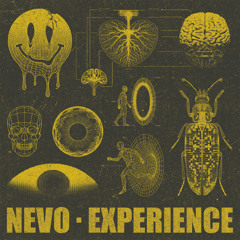 Nevo - Experience
