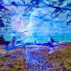 Oceanic Temple ·:· Ecstatic Dance Maui ·:· Kanaha Beach 3/17/24
