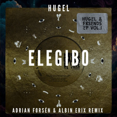 HUGEL, Dario Nunez - Elegibo (Adrian Forsen & VnA Remix)