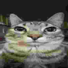 you again dephcore