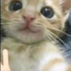 Ya no te noto importante