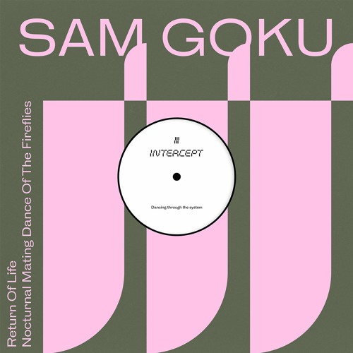 Stream Sam Goku Nocturnal Mating Dance Of The Fireflies by Intercept