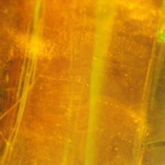 nur ein hauch von mir