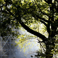 YAZZUS at Draaimolen Festival 2024