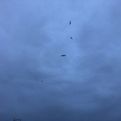 Music for a New Moon in Aquarius