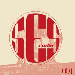 SES Radio EP. 004 W/JANE