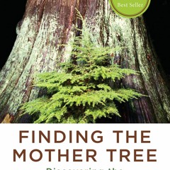 Download Finding the Mother Tree: Discovering the Wisdom of the Forest