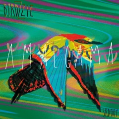 Birdzzie - Amálgama EP - SRD008