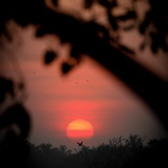 H AZEM M - ORIA #002