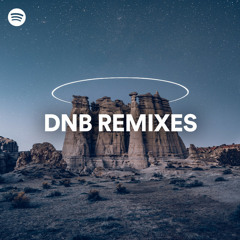 DnB Remixes