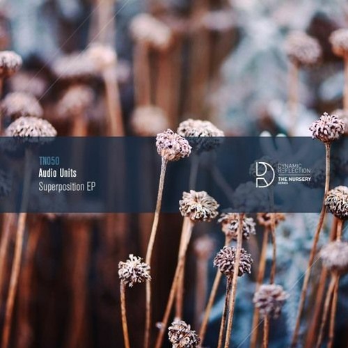 MNMT Premiere: Audio Units – Steady State Theory