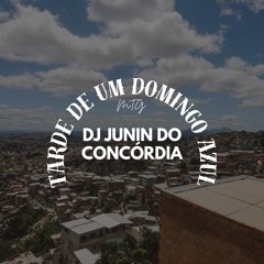 MTG - TARDE DE UM DOMINGO AZUL - LA BELLE DE JOUR (DJ JUNIN DO CONCÓRDIA)