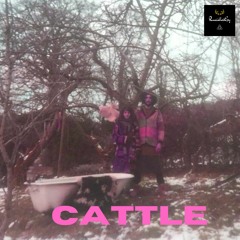 Cattle (in love with zoo)