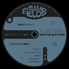 PREMIERE: Skinner - Enzyme [Pyramid Fields]
